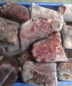 trùn quế đông lạnh cao cấp