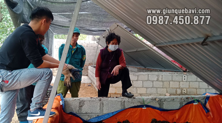 Hương dẫn cách nuôi giun quế cho bà con tại Chi Lăng, Lạng Sơn