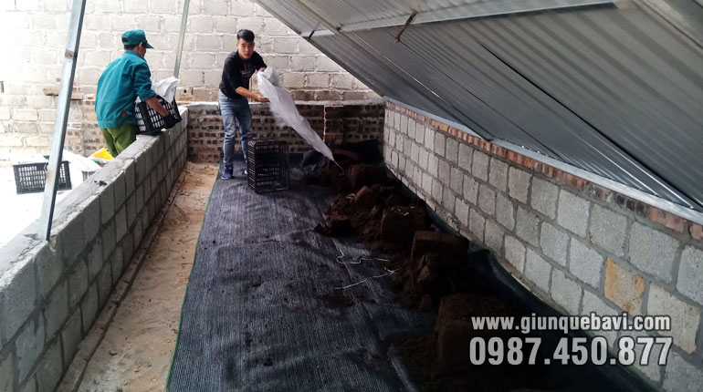 Thả sinh khối giun giống cho khách tại Chi Lăng, Lạng Sơn