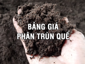 Bảng giá phân trùn quế