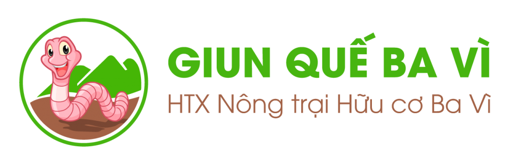 Giỏ hàng