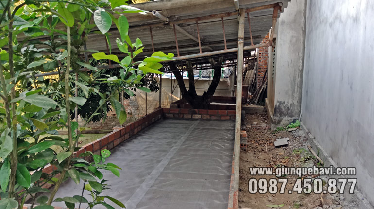 Chuồng nuôi giun quế nền cát