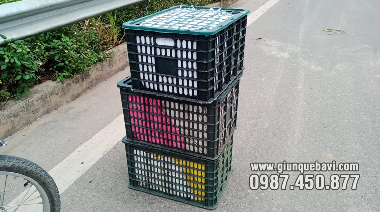 Đợi xe khách gửi giun giống về cho khách Kim Bảng, Hà Nam