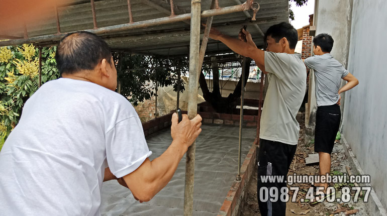 Hướng dẫn thả giun quế giống