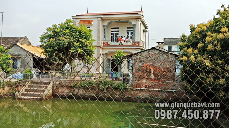 Mô hình nuôi giun quế kết hợp ao cá hiệu quả ở Tam Điệp, Ninh Bình