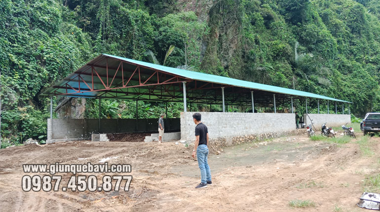 Nuôi giun quế kết hợp trồng Cam tại Quỳ Hợp, Nghệ An