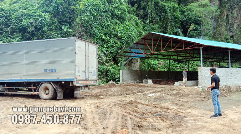 sinh khối giun quế giống vận chuyển bằng xe tải